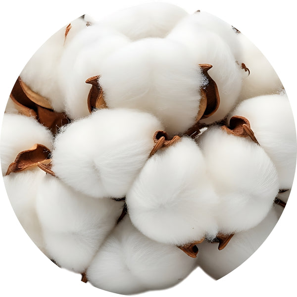 Pima Cotton