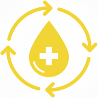 Enhances Circulation