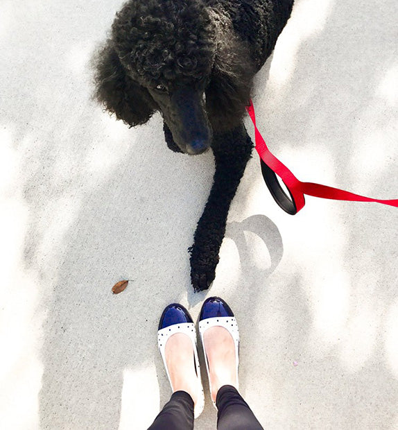 ja-vie white/black dot jelly flats shoes